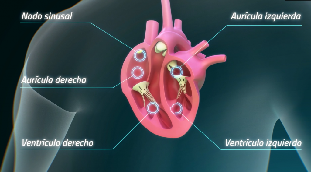 Presentan una nueva opción de tratamiento anticoagulante para la