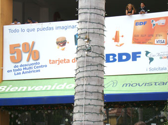 ¿BDF despide a 100 empleados?