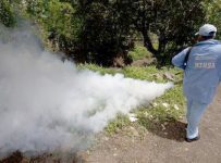 Otra víctima del dengue: una niña de 8 años