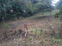 ¿Qué debo hacer? Vivo fuera de Nicaragua y quiero comprar una propiedad