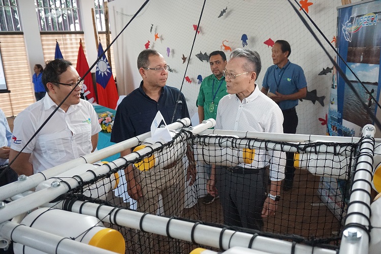Taiwán promueve el Cultivo de peces pargo en jaulas flotantes Taiwán promueve el Cultivo de peces pargo en jaulas flotantes