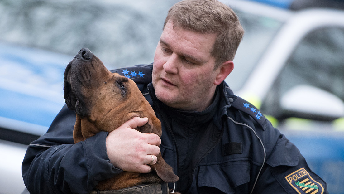 La Policía de Alemania retira de su servicio a decenas de perros 