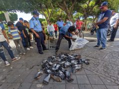 60 aves fueron envenenadas en parque central de Granada