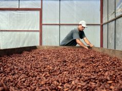 Exportaciones de Nicaragua a Rusia serán afectadas por sanciones: analistas