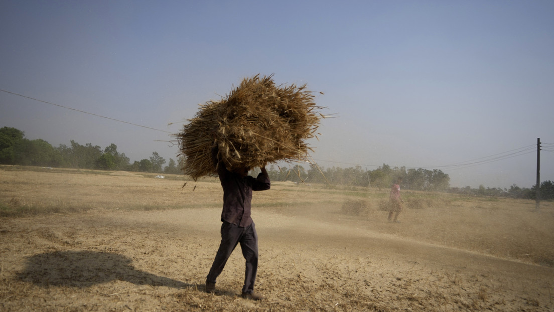 Ola de calor extremo en la India y Pakistán amenaza la salud de la población