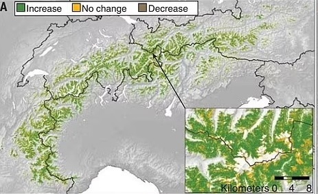 Imágenes muestran el "reverdecimiento" de los Alpes a causa del calentamiento global