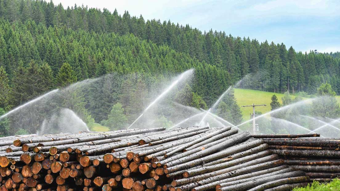 Lituania se enfrenta a un déficit de madera