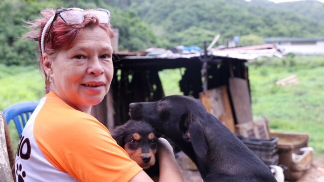 Refugio de animales agoniza en Venezuela