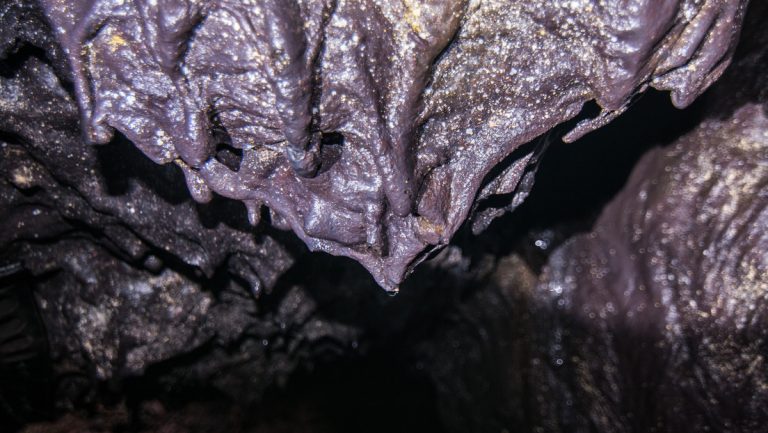 Descubren gran variedad de comunidades bacterianas en los ecosistemas volcánicos de Hawái
