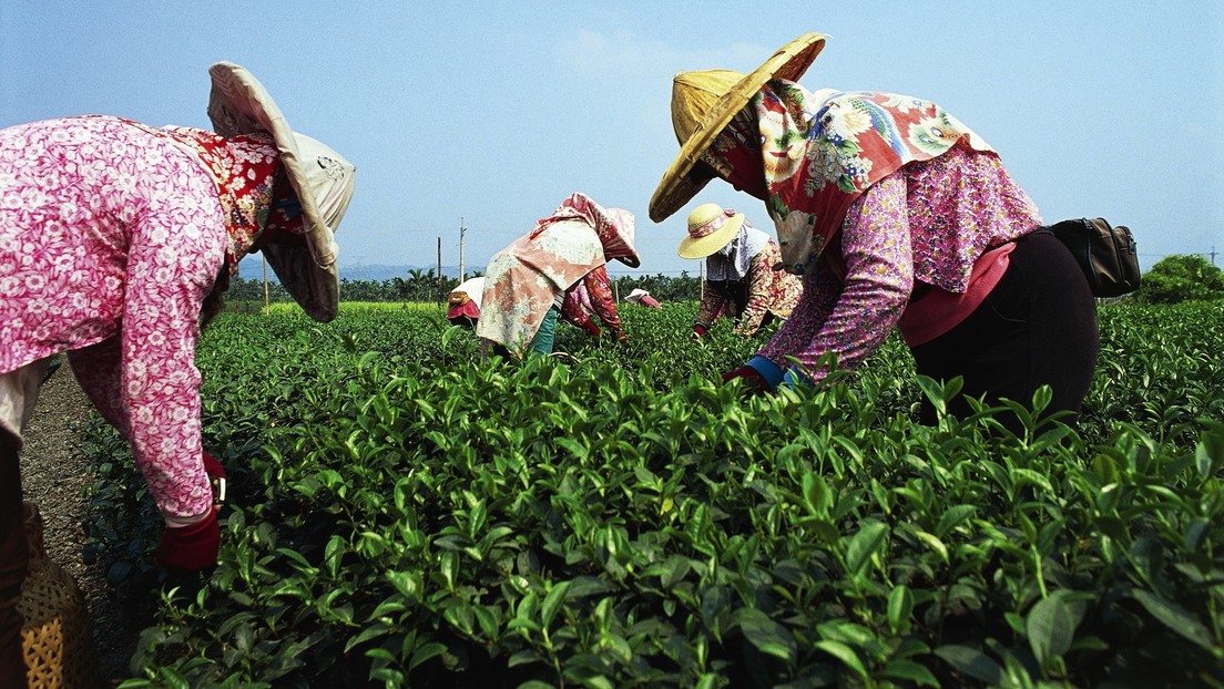 China suspende las importaciones de alimentos de múltiples empresas taiwanesas