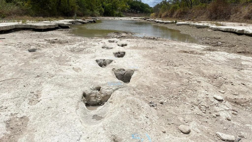 Descubren grandes huellas de dinosaurios en un río afectado por la sequía