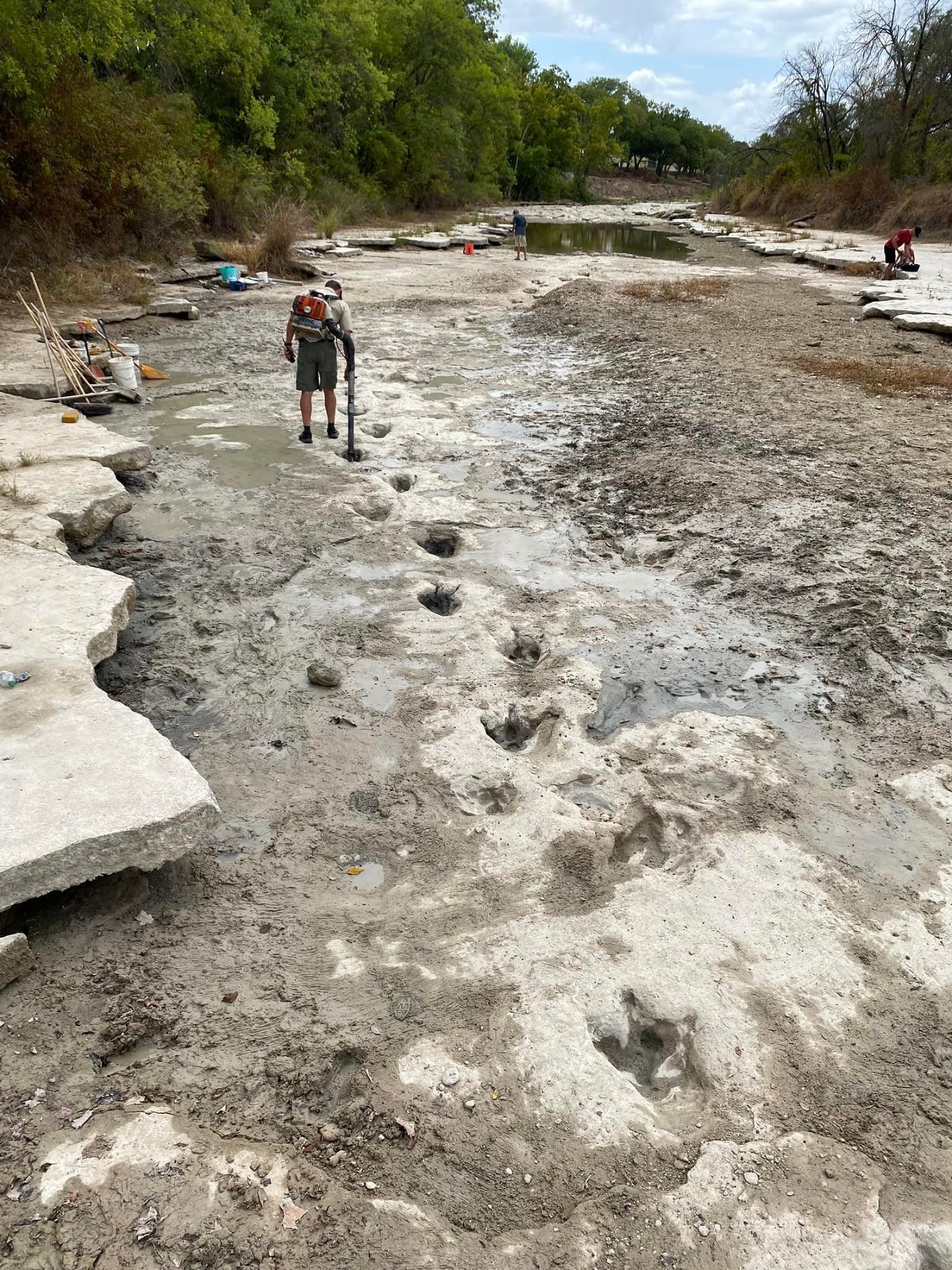 Descubren grandes huellas de dinosaurios en un río afectado por la sequía Descubren grandes huellas de dinosaurios en un río afectado por la sequía