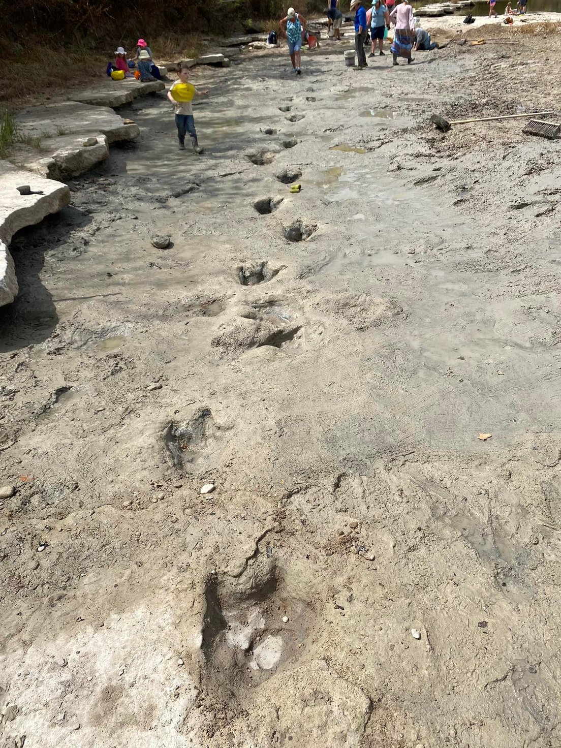 Descubren grandes huellas de dinosaurios en un río afectado por la sequía Descubren grandes huellas de dinosaurios en un río afectado por la sequía