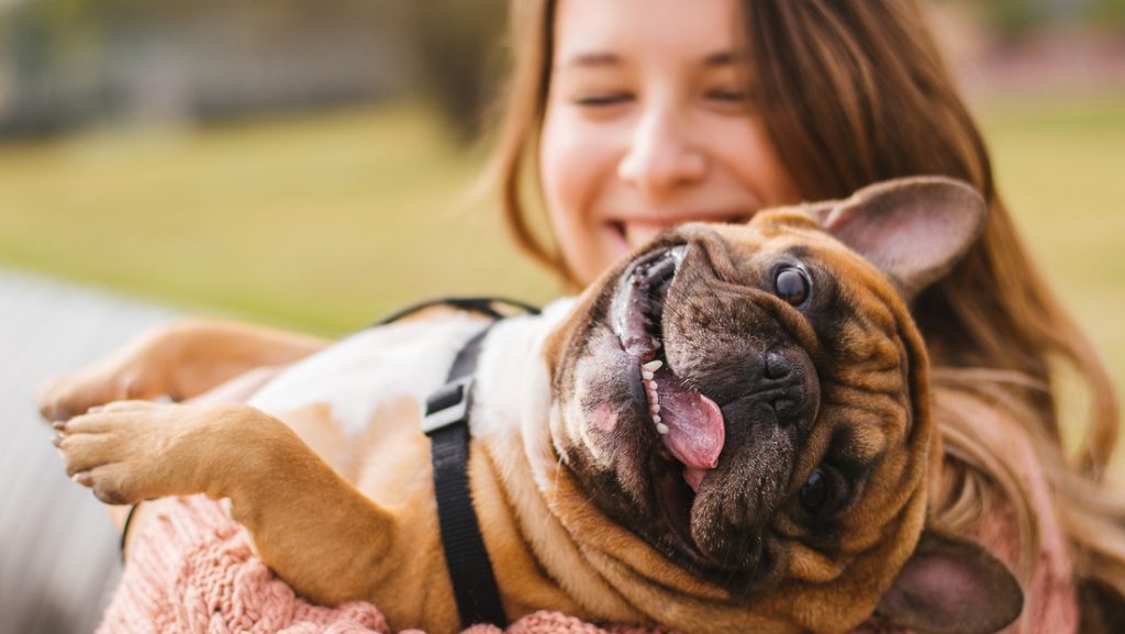Descubren por qué los perros lloran cuando su dueño llega a casa