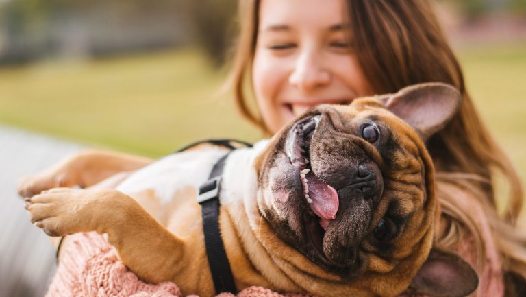Descubren por qué los perros lloran cuando su dueño llega a casa
