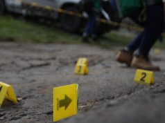 Encuentran 11 cuerpos en una huerta de aguacates en México