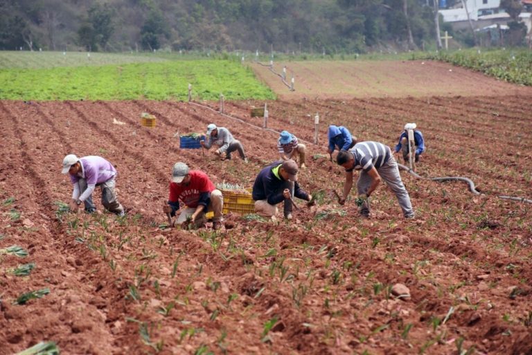¿Puede Maduro ceder tierras a Irán?