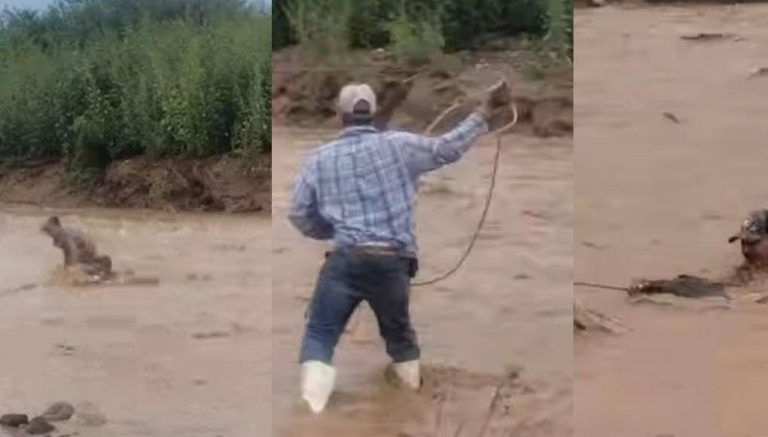 Rescatan al estilo 'vaquero' a un hombre que era arrastrado por un río en México