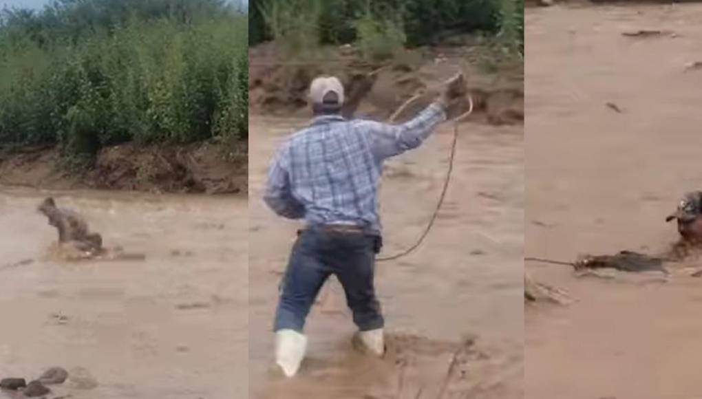 Rescatan al estilo 'vaquero' a un hombre que era arrastrado por un río en México 