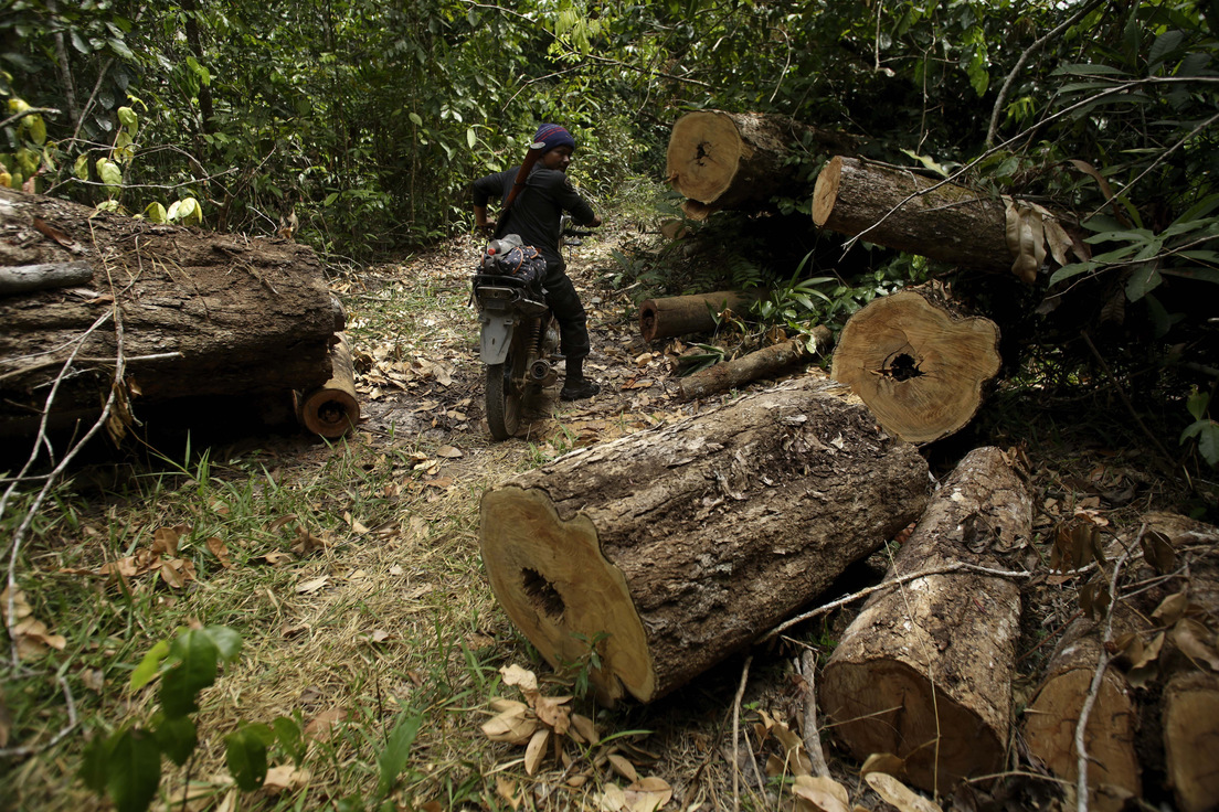 Así es cómo los principales bancos centrales del mundo financian la deforestación de bosques en Brasil