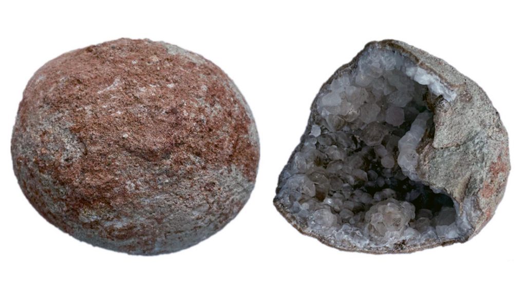 Encuentran en China dos huevos fosilizados de dinosaurio llenos de cristal
