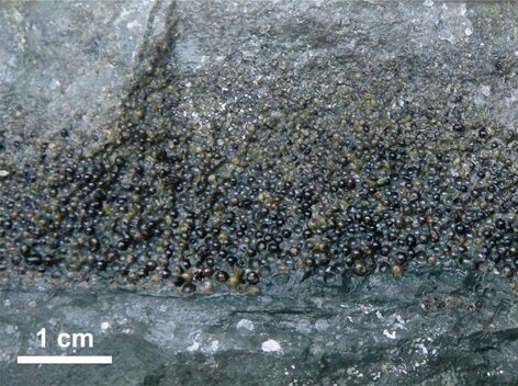 El impacto del asteroide que acabó con los dinosaurios causó un megaterremoto que sacudió la Tierra durante meses El impacto del asteroide que acabó con los dinosaurios causó un megaterremoto que sacudió la Tierra durante meses