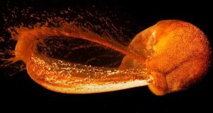 Este colosal impacto podría haber formado la Luna en pocas horas
