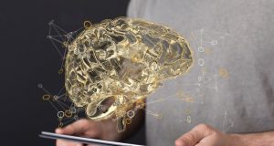¿Nuestros cerebros funcionan como computadoras cuánticas?