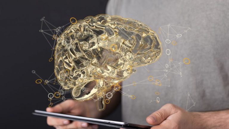 ¿Nuestros cerebros funcionan como computadoras cuánticas?