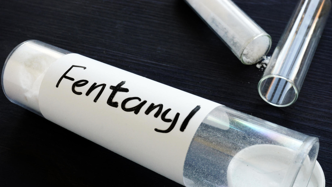 Revelan que el cártel de Sinaloa recluta a profesores de química para crear fentanilo Revelan que el cártel de Sinaloa recluta a profesores de química para crear fentanilo
