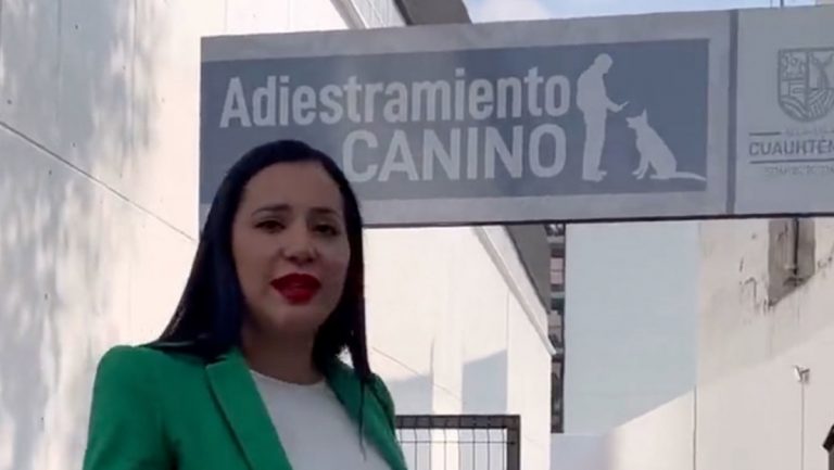 primer hotel para perros y gatos abandonados en la Ciudad de México