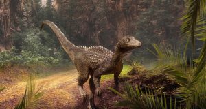 Descubren en Rumania una nueva especie de 'dinosaurio enano' con cabeza plana