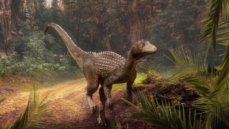 Descubren en Rumania una nueva especie de 'dinosaurio enano' con cabeza plana