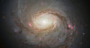 Detectan un "tesoro" de partículas fantasma saliendo del centro de una galaxia