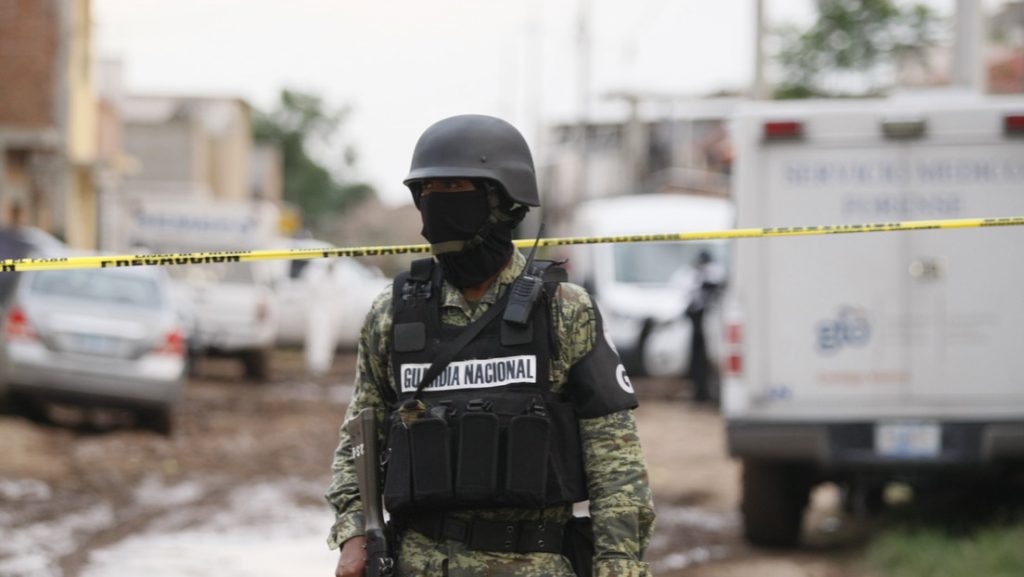 Un perro con una pierna humana en el hocico conduce al hallazgo de una fosa clandestina en México