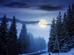 Cuándo y dónde se podrá observar la luna fría