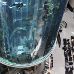 Explota un colosal acuario cilíndrico con 1.500 peces exóticos dentro