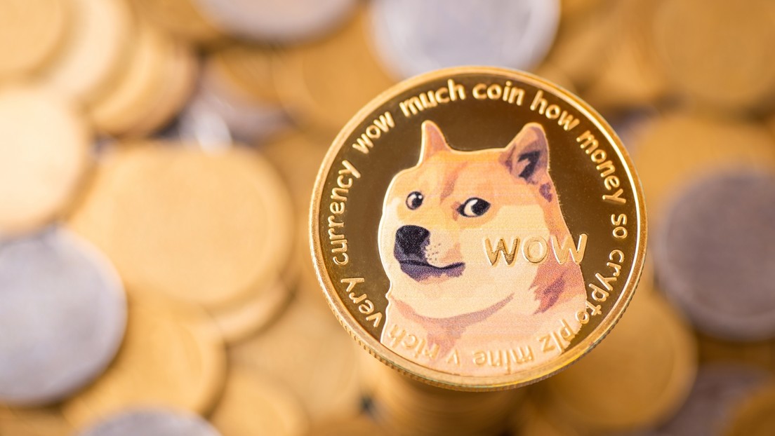 La perrita que inspiró memes y la criptomoneda dogecóin tiene leucemia