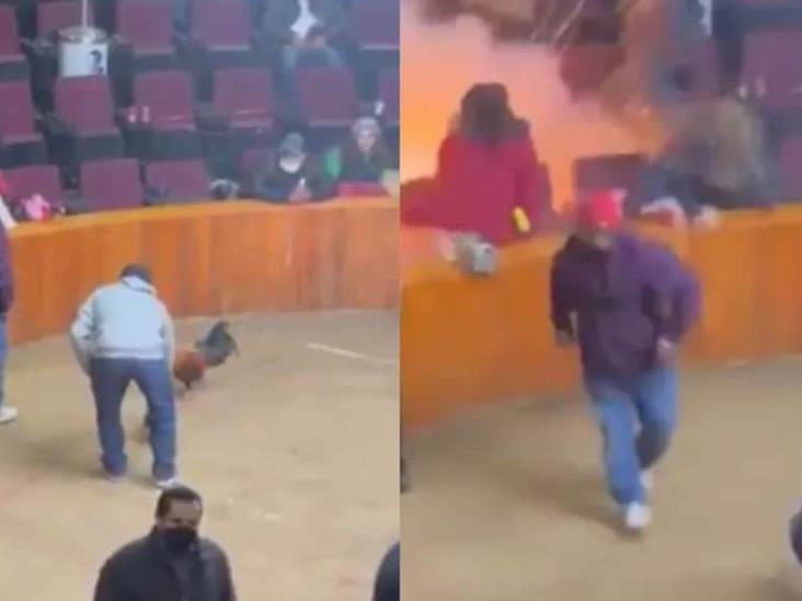 Momento en el que explota una granada durante una pelea de gallos en México Momento en el que explota una granada durante una pelea de gallos en México