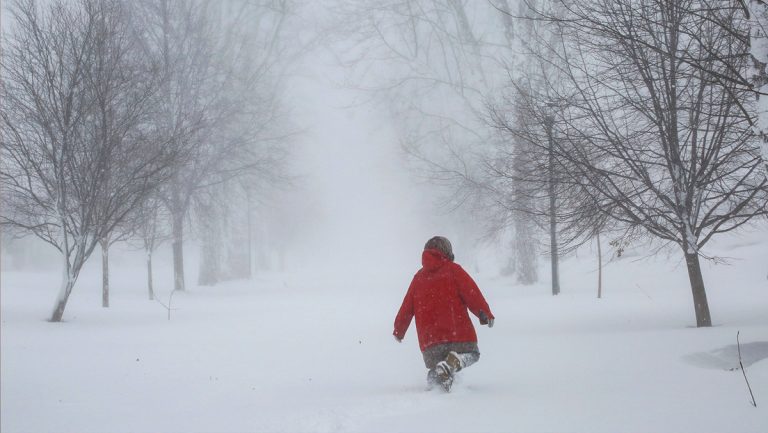 Tormenta invernal paraliza a EE.UU.