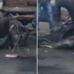 Un hombre maltrata brutalmente a un caballo moribundo en México