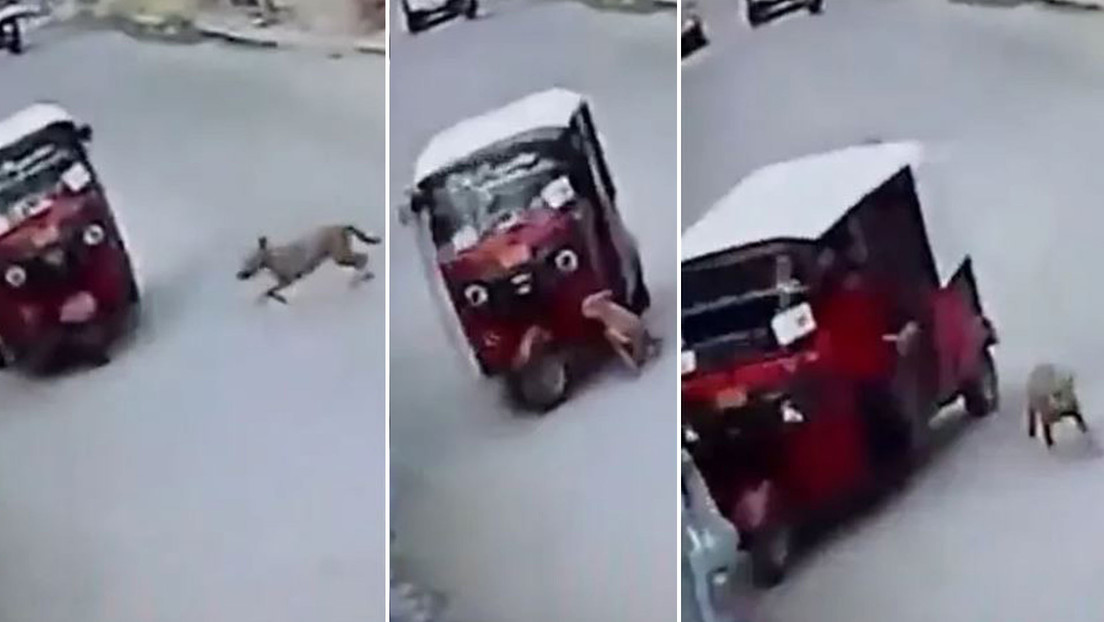 Un perro 'atropella' un mototaxi, hace caer al conductor y sale corriendo