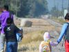 250 migrantes nicaragüenses están desaparecidos en México