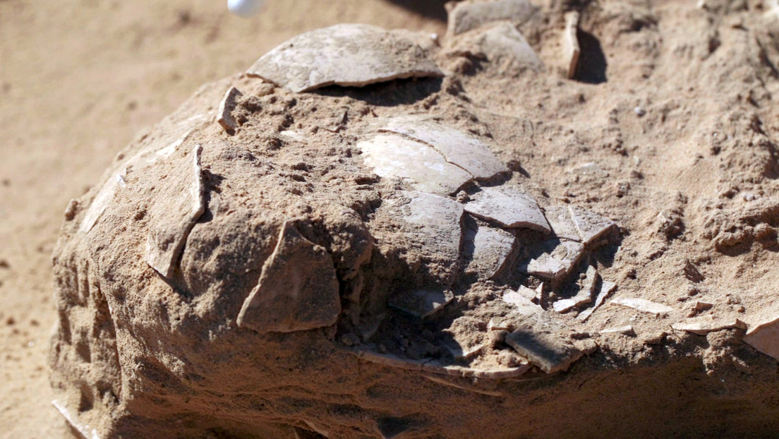 Encuentran antiquísimos huevos de avestruz en Israel en estado "excepcional" de preservación Encuentran antiquísimos huevos de avestruz en Israel en estado "excepcional" de preservación