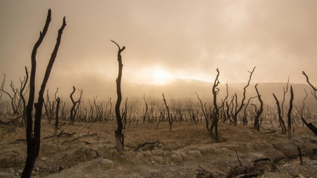 IA predice que el calentamiento global superará los 1,5 °C en la década de 2030
