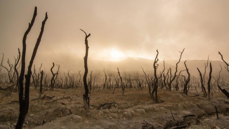 IA predice que el calentamiento global superará los 1,5 °C en la década de 2030