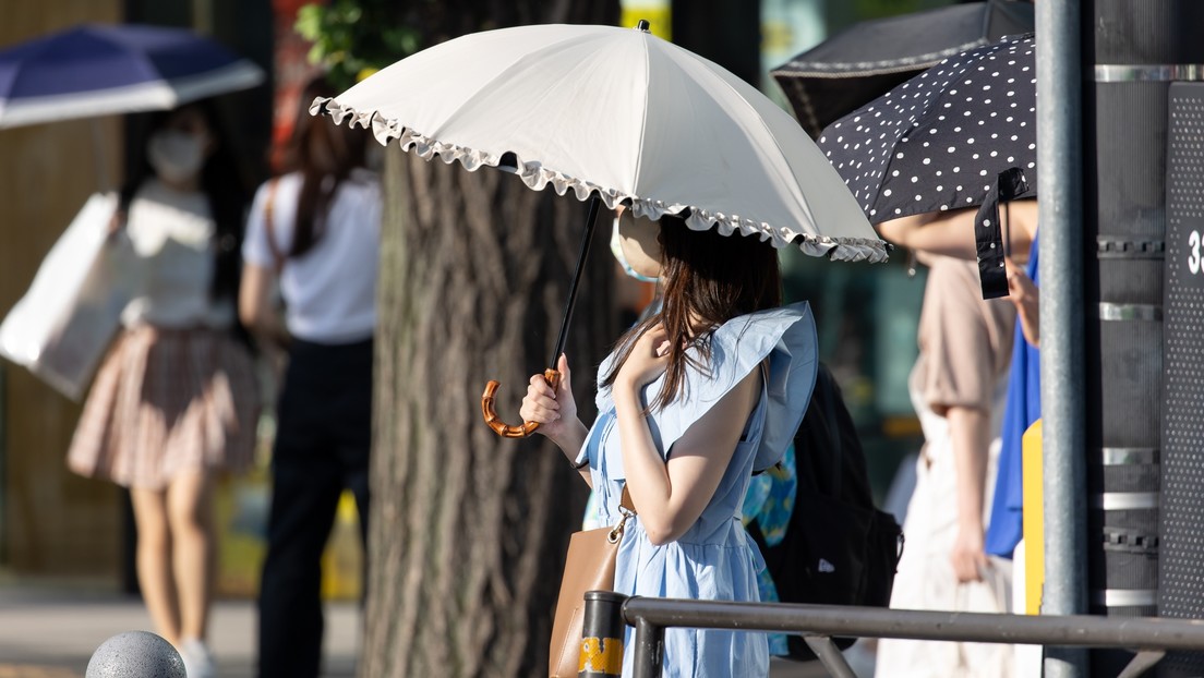 Japón tiene la tasa más alta del mundo de mujeres de mediana edad sin hijos