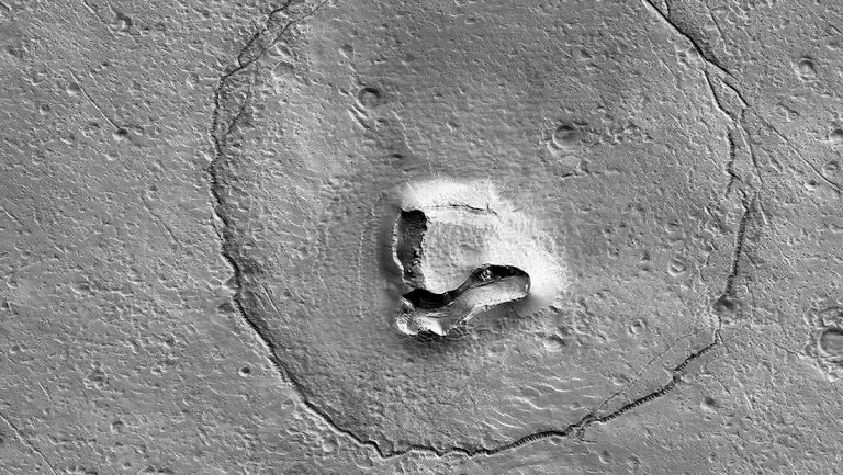 Un 'oso marciano' mira directamente al orbitador de la NASA