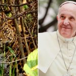 Conozcan a Martín Fierro, el leopardo de un zoo ruso 'protegido' por el papa Francisco