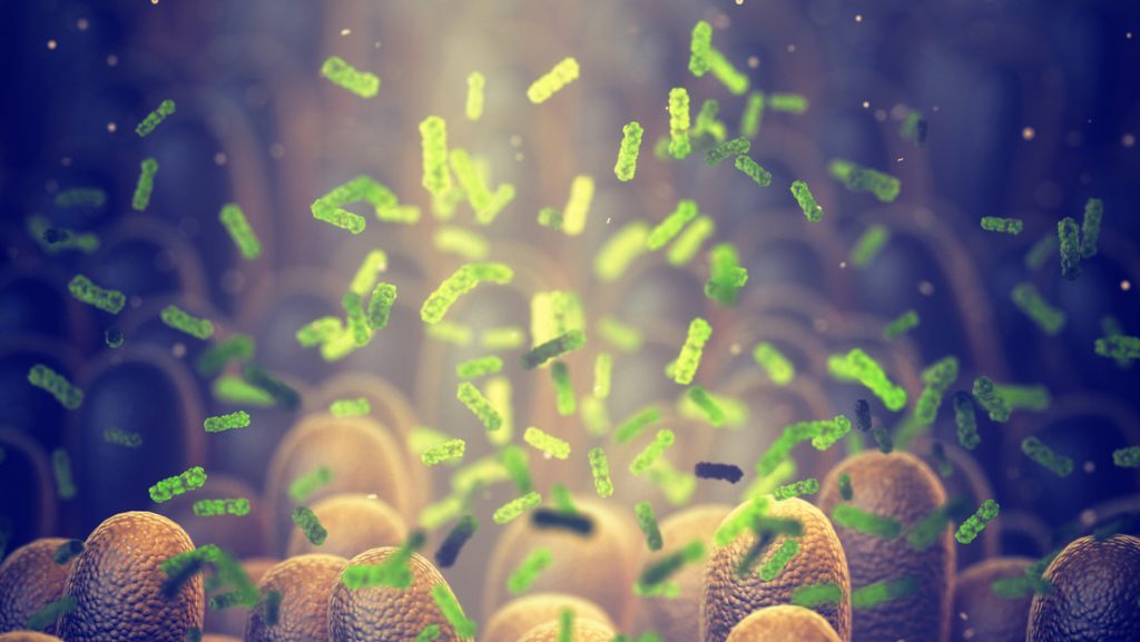 Crean por casualidad un antibiótico capaz de eliminar bacterias consideradas "intratables"